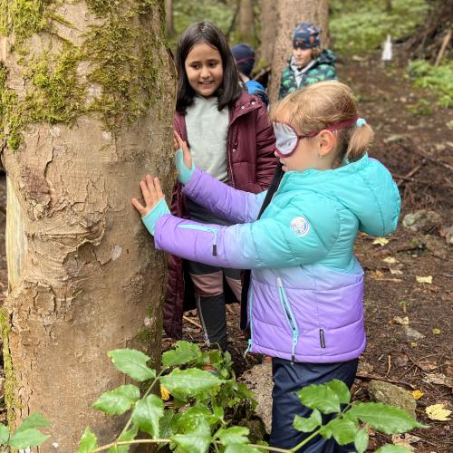 Waldprojekt_2bc2022
