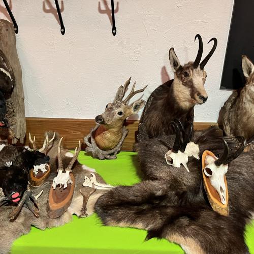 Unterinntaler jagdtage 2b