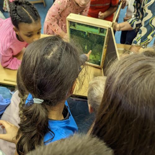Füllfederfest der 2c Klasse 2024