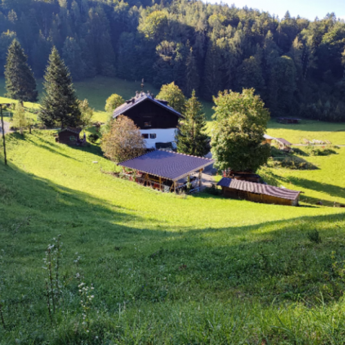 Gemeinsamer Wandertag 092024