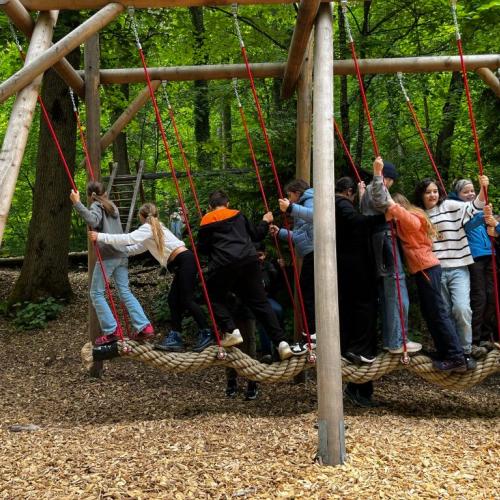 Waldtag mit Waldpädagogin 4b 2025