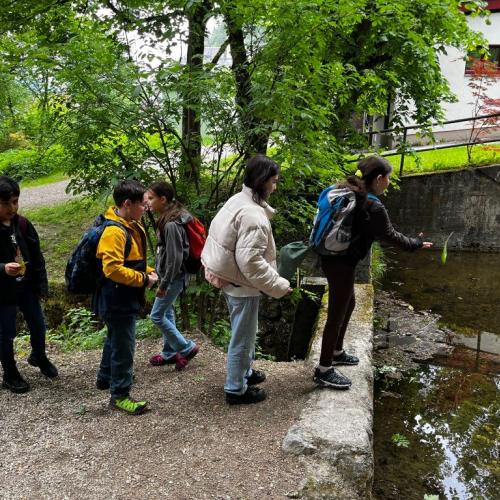 Waldtag mit Waldpädagogin 4b 2025
