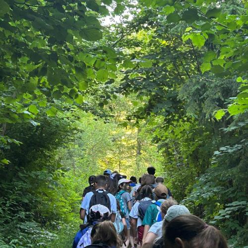 Wandertag 2026 3