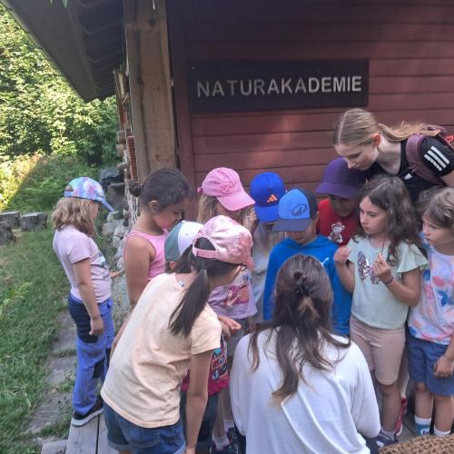 Naturtage VS Stadt Kufstein
