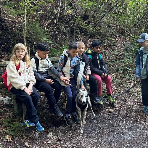 Kinder mit Hund