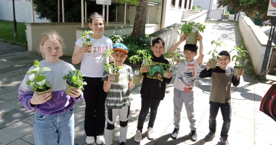 Kräutergarten schulische Tagesbetreuung